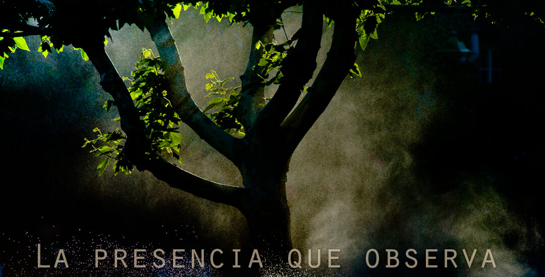 La presencia que observa
