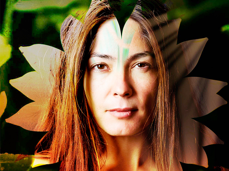 Sanación Chamánica