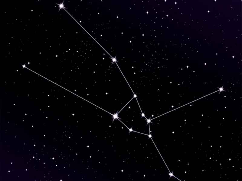 Constelaciones Vitales