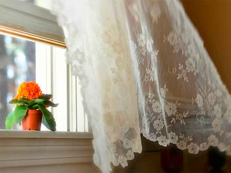 Sanación Chamánica