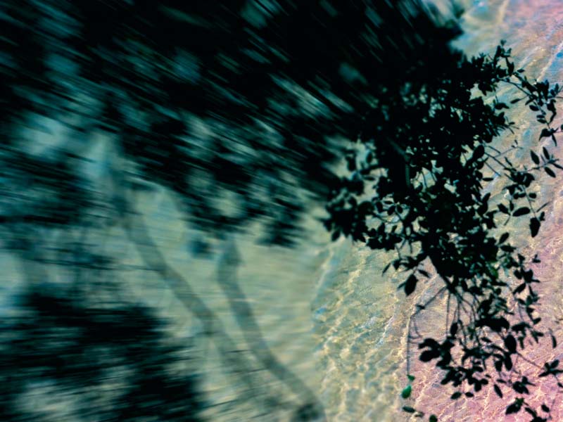 Limpieza de Aura, Campo Energético