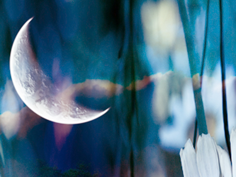 limpieza energetica personas