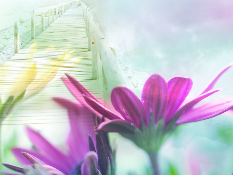 Ayuda a moriri en paz